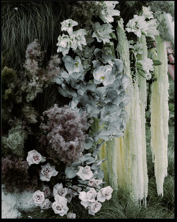 Courtside 18 / Floral wall detail