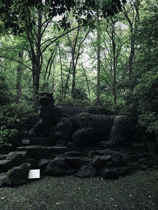 Foreign Body 13 / Dark garden with a small white sign