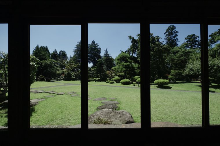 Threshold 08 / Garden as Screen