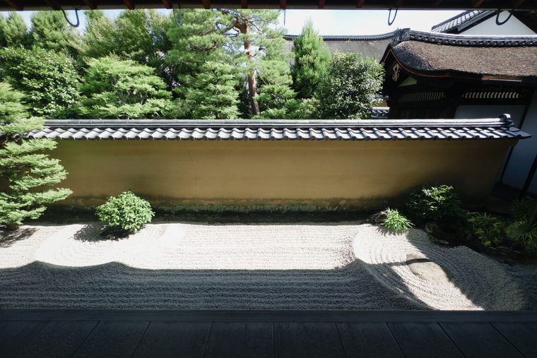 Threshold 15 / Garden Shadow