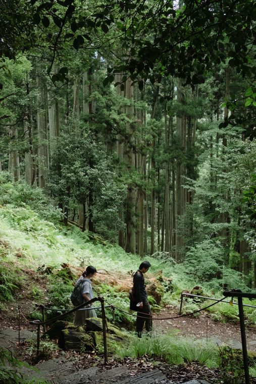 Threshold 19 / Forest Witness